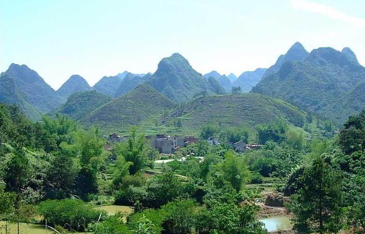 坟地鬼火